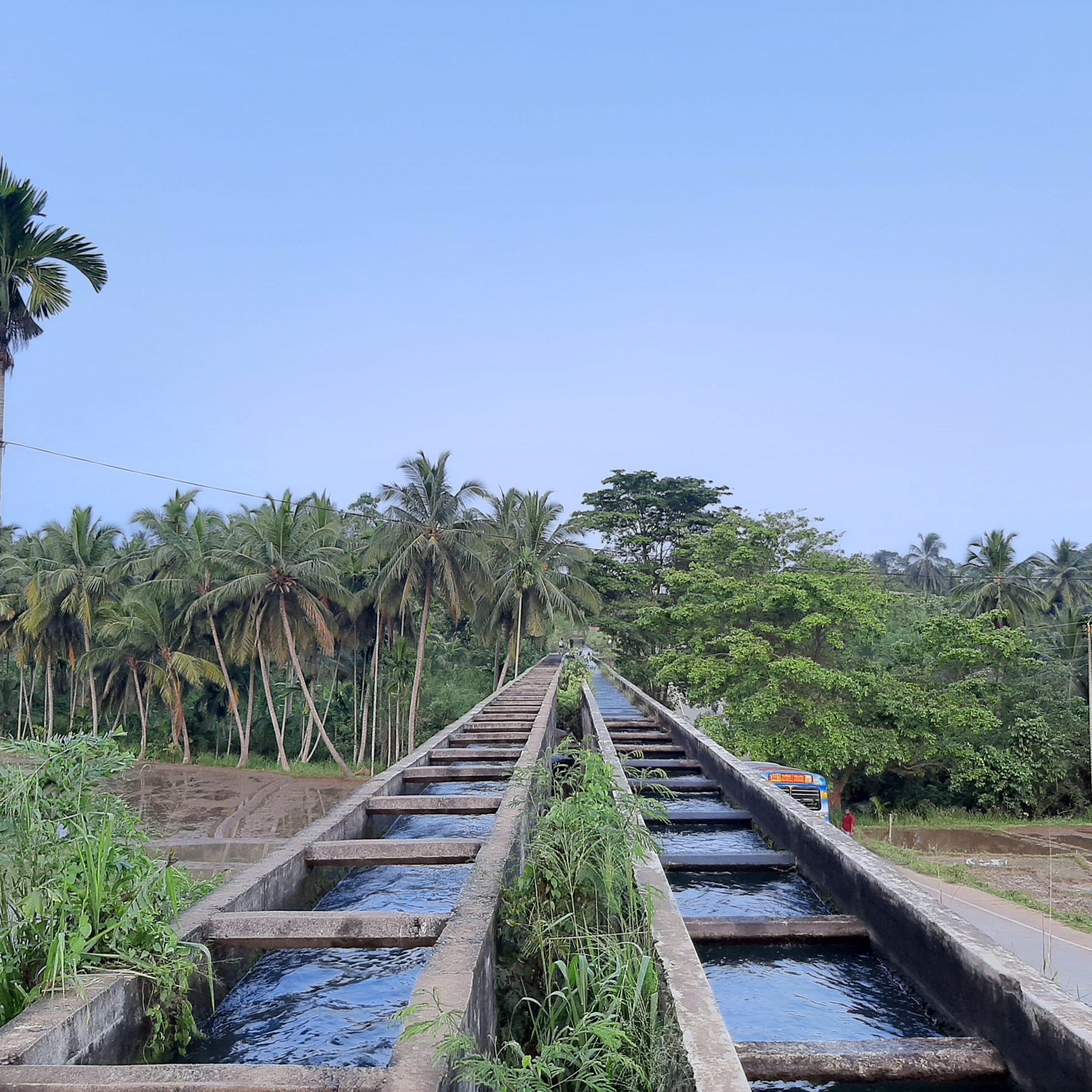 Muruthawela Gini Petti Palama