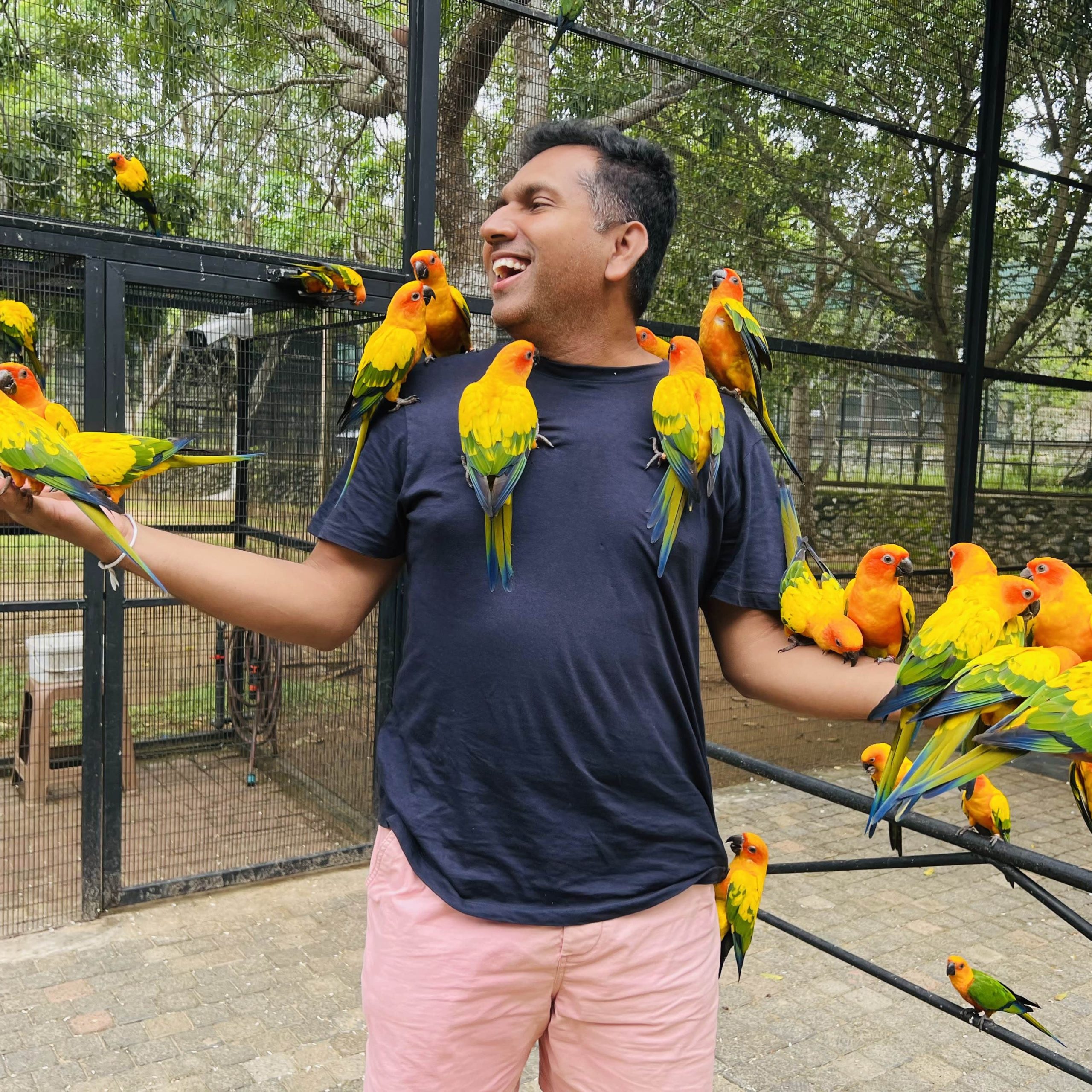 Birds Park / Birds Research Center